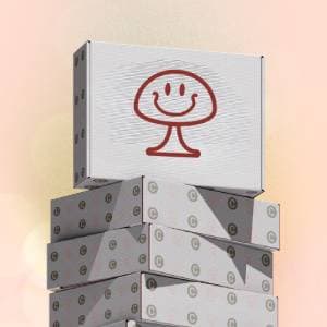 Shroom Discovery Box