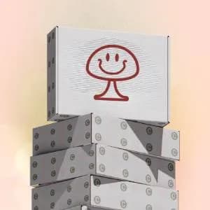 Shroom Discovery Box