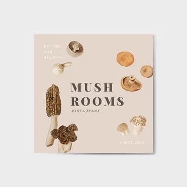 Instagram image showcasing product