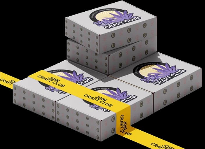 Shroom Groove Mushroom image showcasing the monthly subscription box
