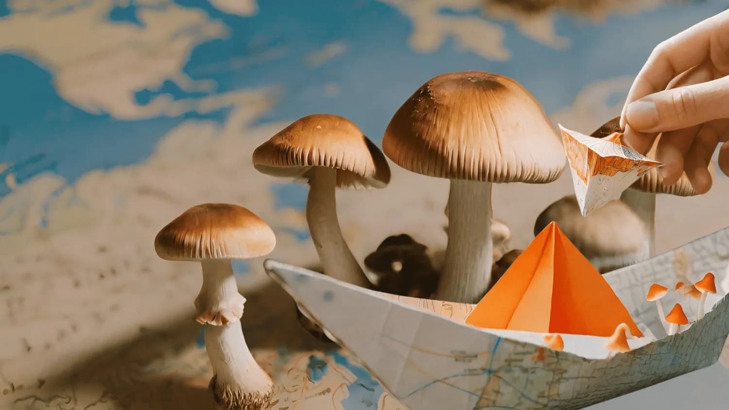 Mushrooms and Boat on World Map