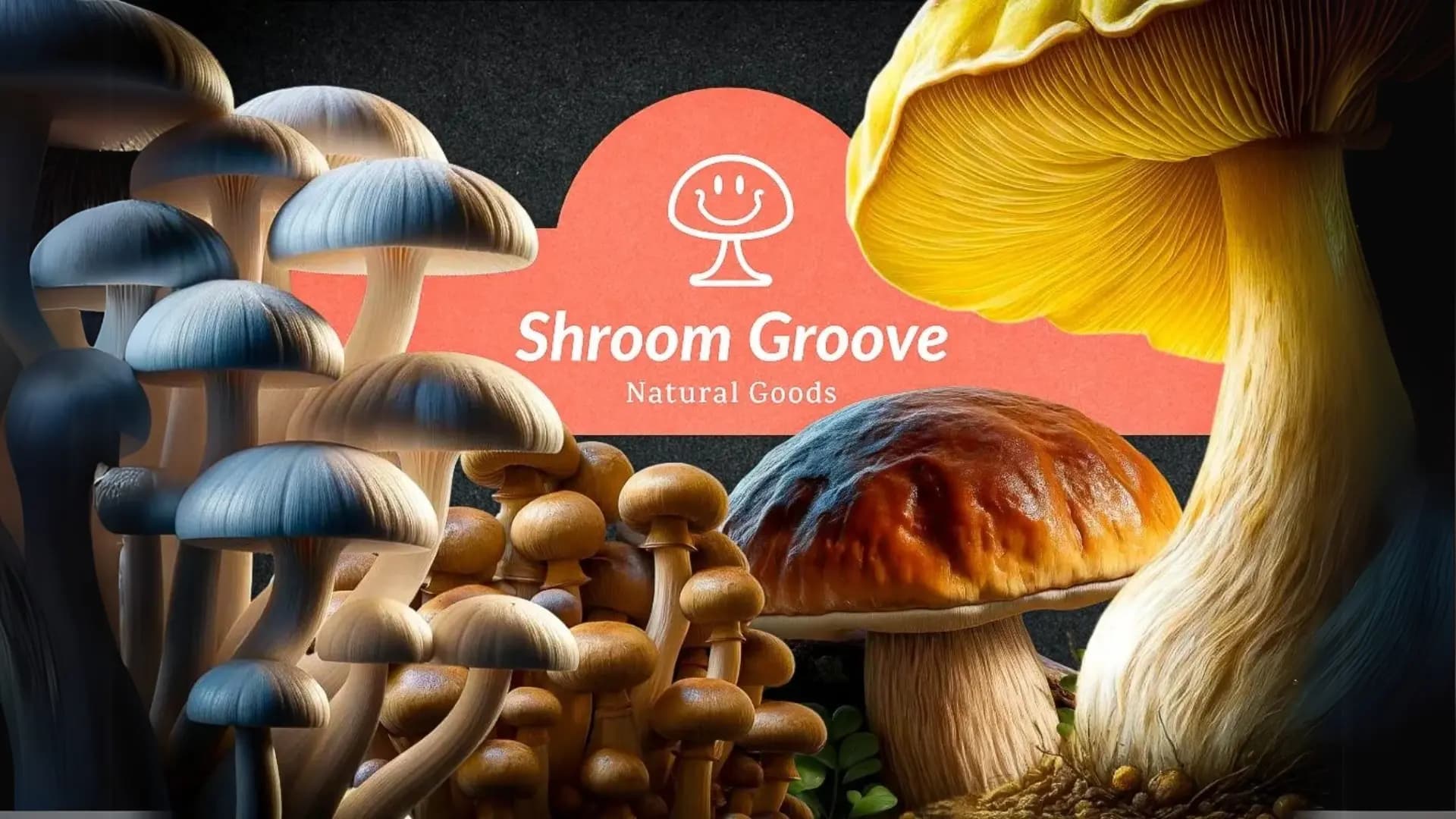 Magic Mushrooms