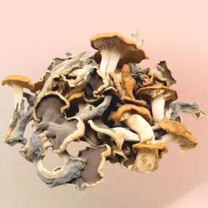 Dried Shrooms Only Box